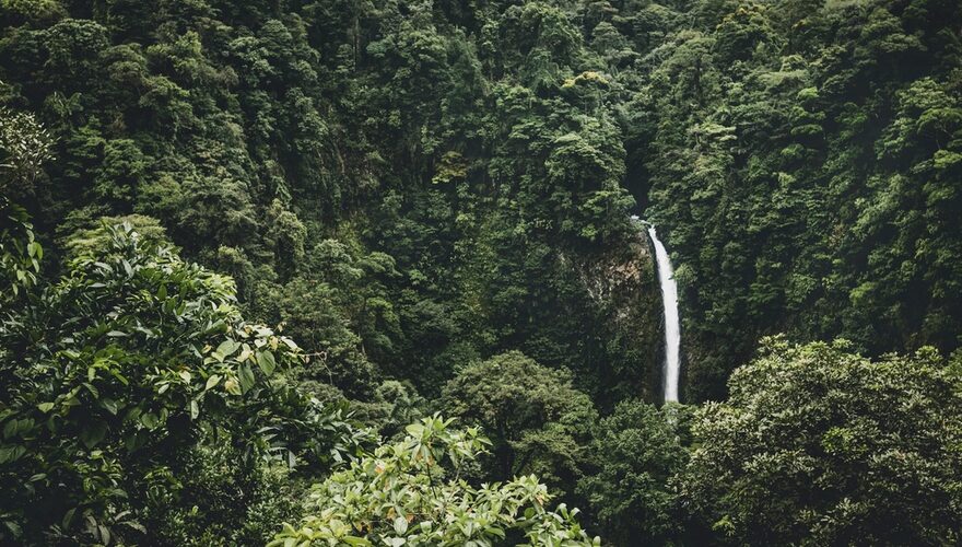 A tall waterfall dropping through dense green rainforest canopy in Costa Rica
